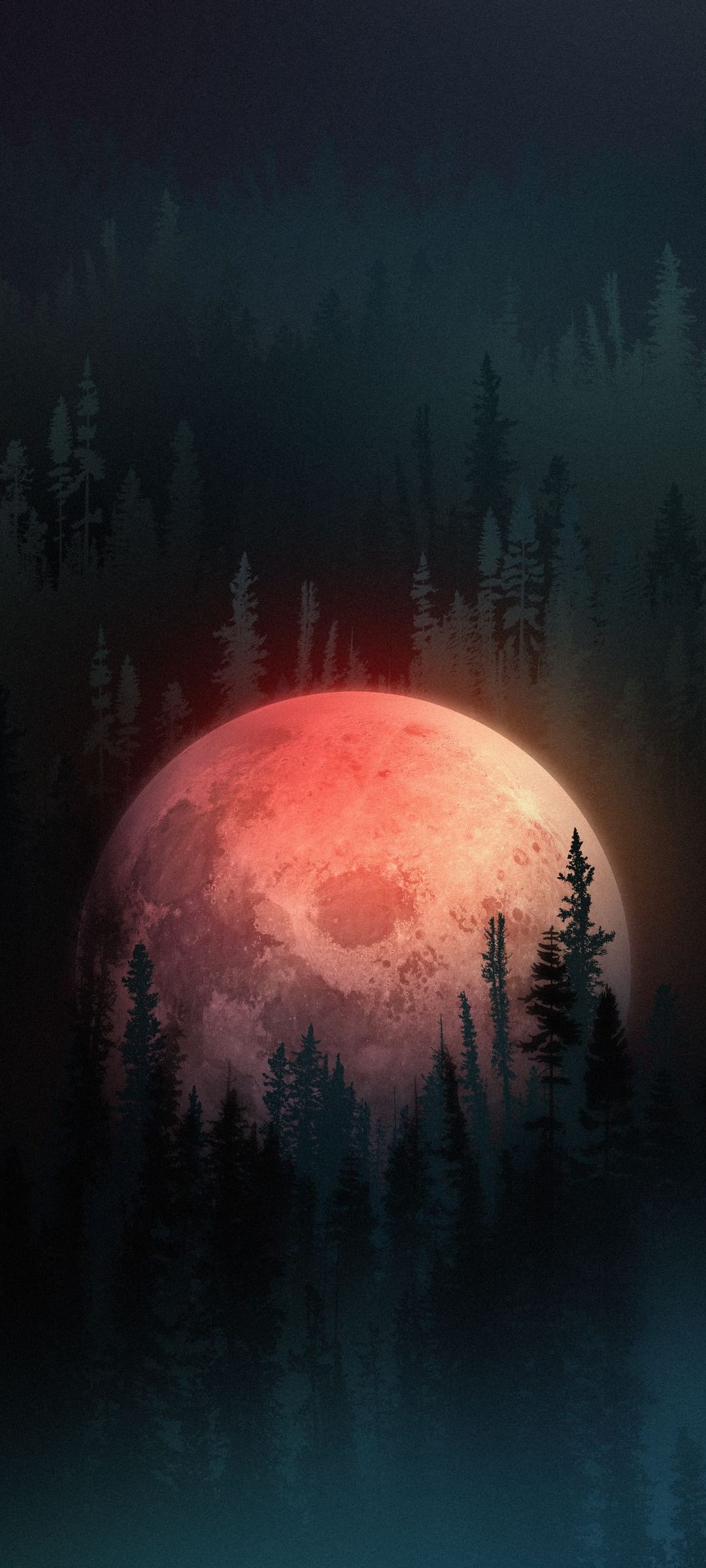 Large red moon rises behind dark evergreen trees against a midnight blue sky in this vertical nature scene.