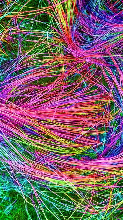 background,decor,abstract,ornament,floral,beautiful wallpaper,structure,floral background,art,multicoloured,iphone wallpaper