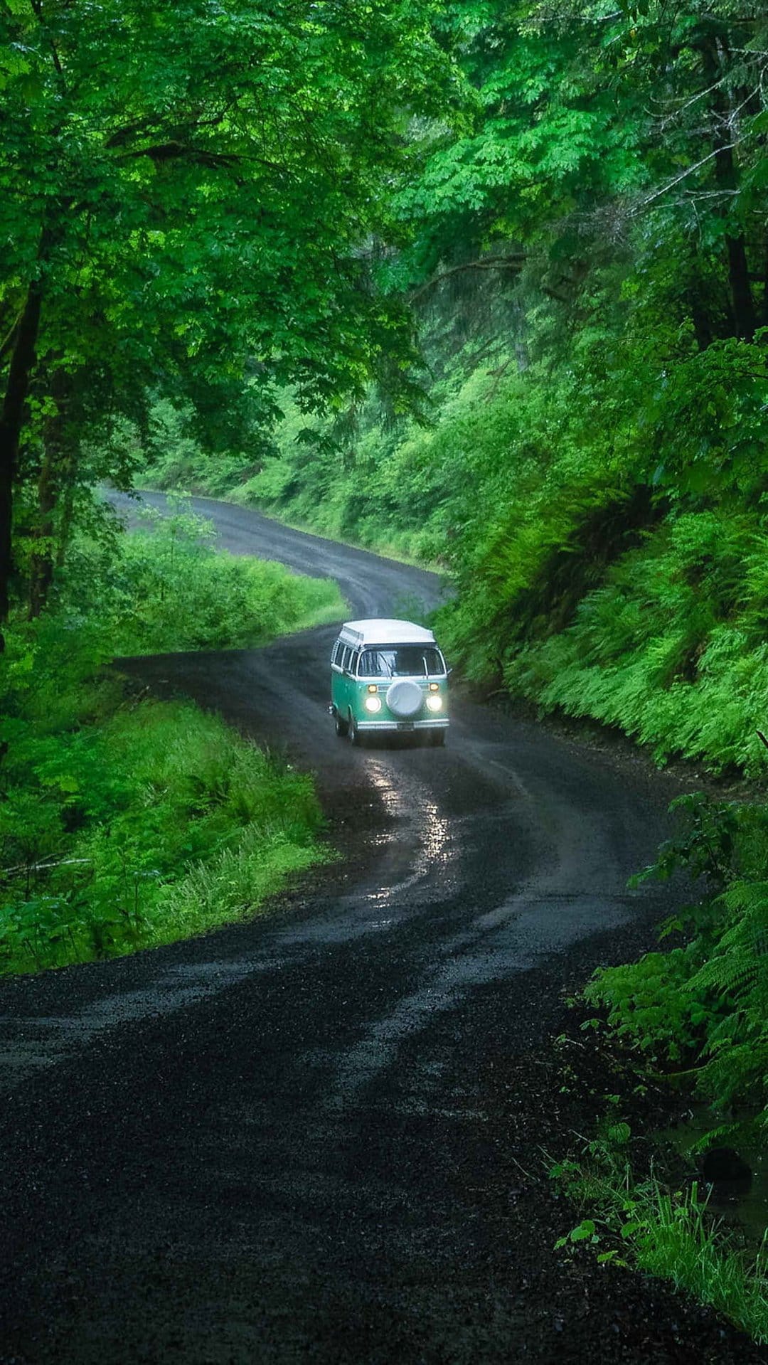 Vintage green camper van driving on a damp gravel road through a dense forest with sunlight through trees.