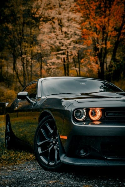 Mustang,Mustang background,Mustang desktop wallpaper,car wallpaper