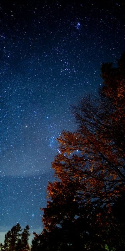 night, sky, stars, nature, serene, outdoor, peaceful, beautiful, natural beauty, tranquil, picturesque, landscape, mystical, dark, tree, autumn, orange, blue, cosmic, enchanting, foliage, season, celestial, tranquil