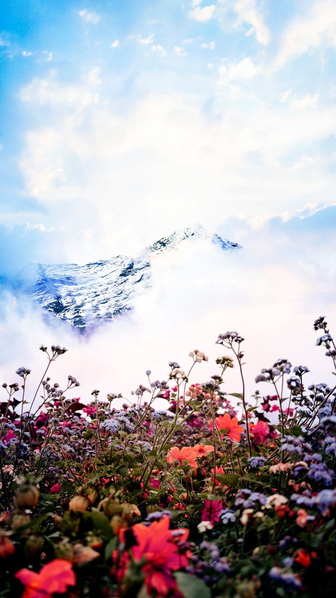 Purple and yellow wildflowers grow in a meadow before a snow-capped mountain peak partially hidden by soft clouds.