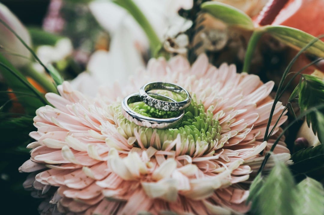 Two wedding rings rest on the green center of a pink gerbera daisy surrounded by soft, layered floral petals.