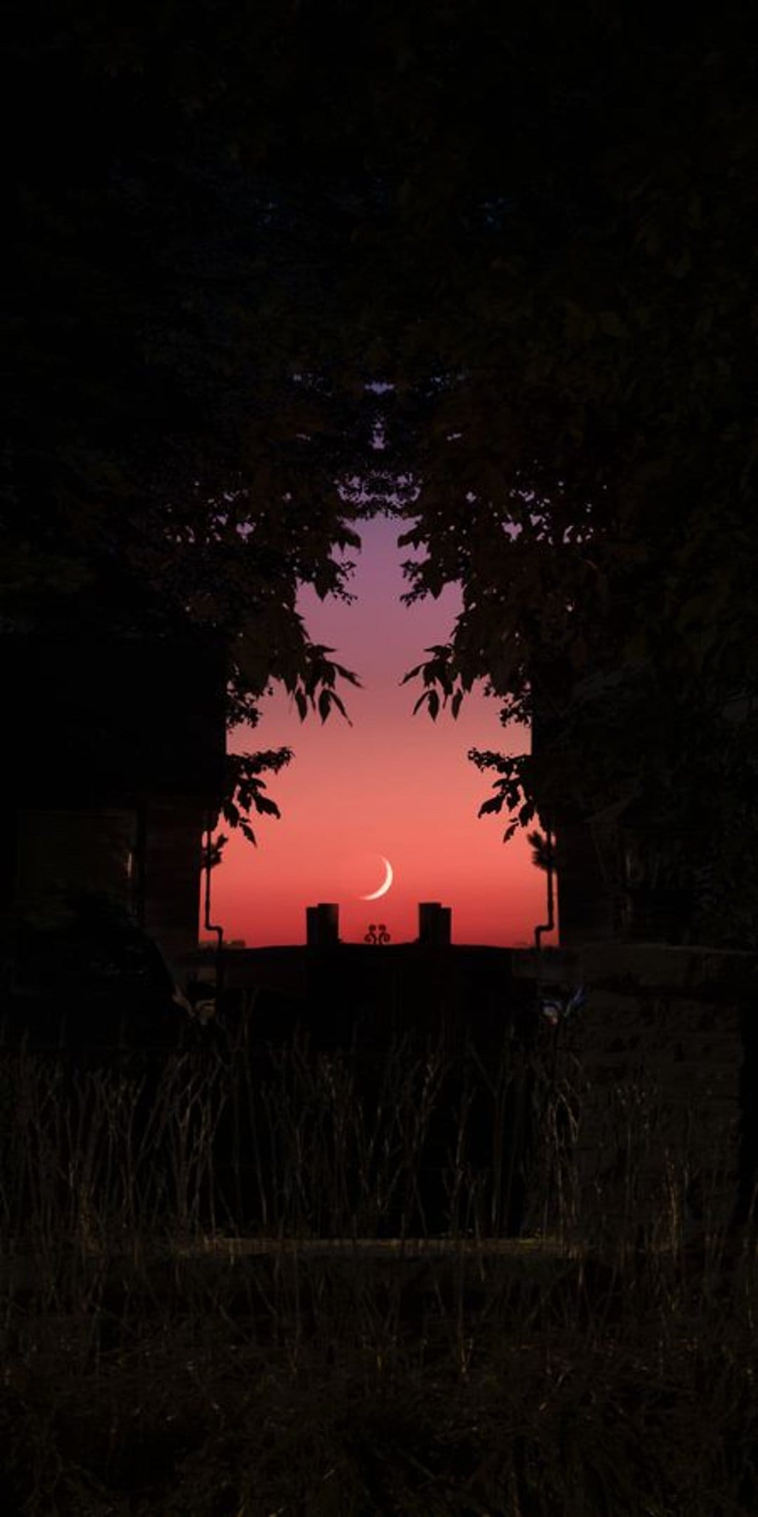 Slender crescent moon rests in a vibrant red and purple sky framed by dark silhouettes of leaves and branches.