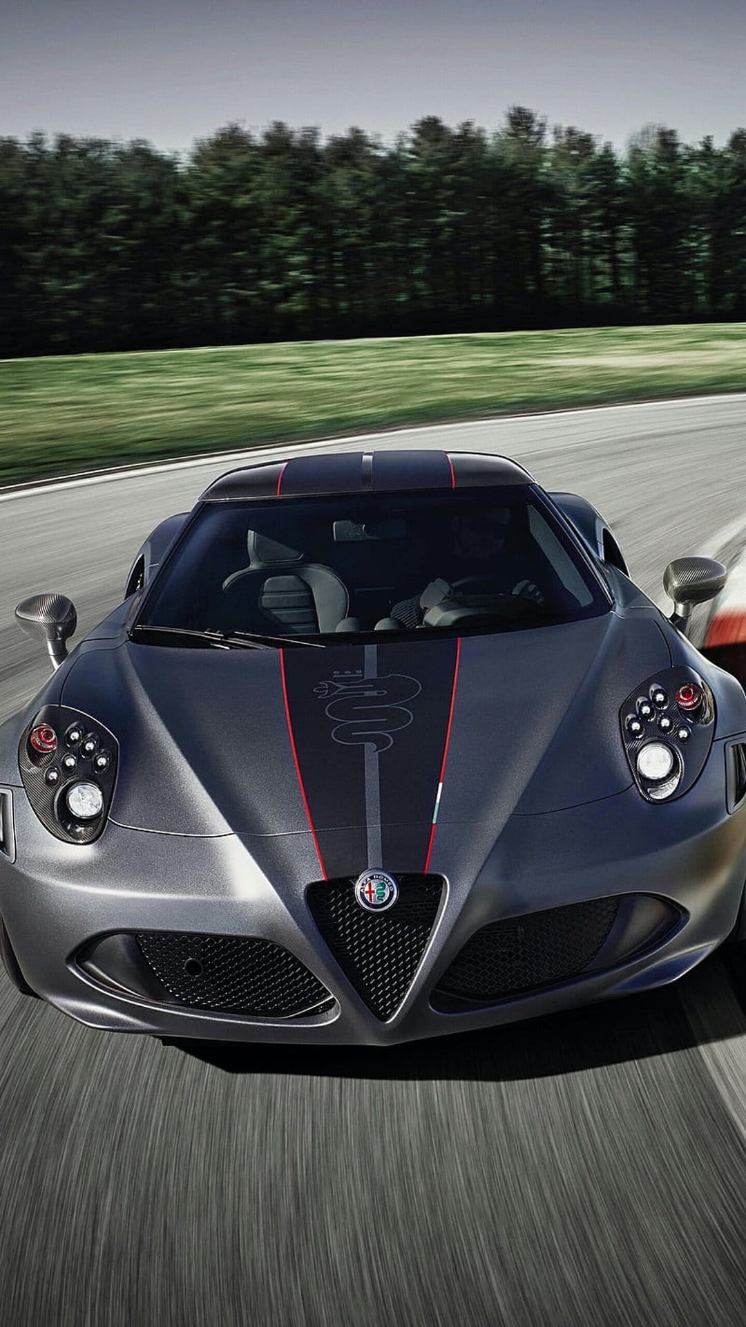 Alfa Romeo 4C racing car with motion blur on a track surrounded by green trees under a cloudy overcast sky.