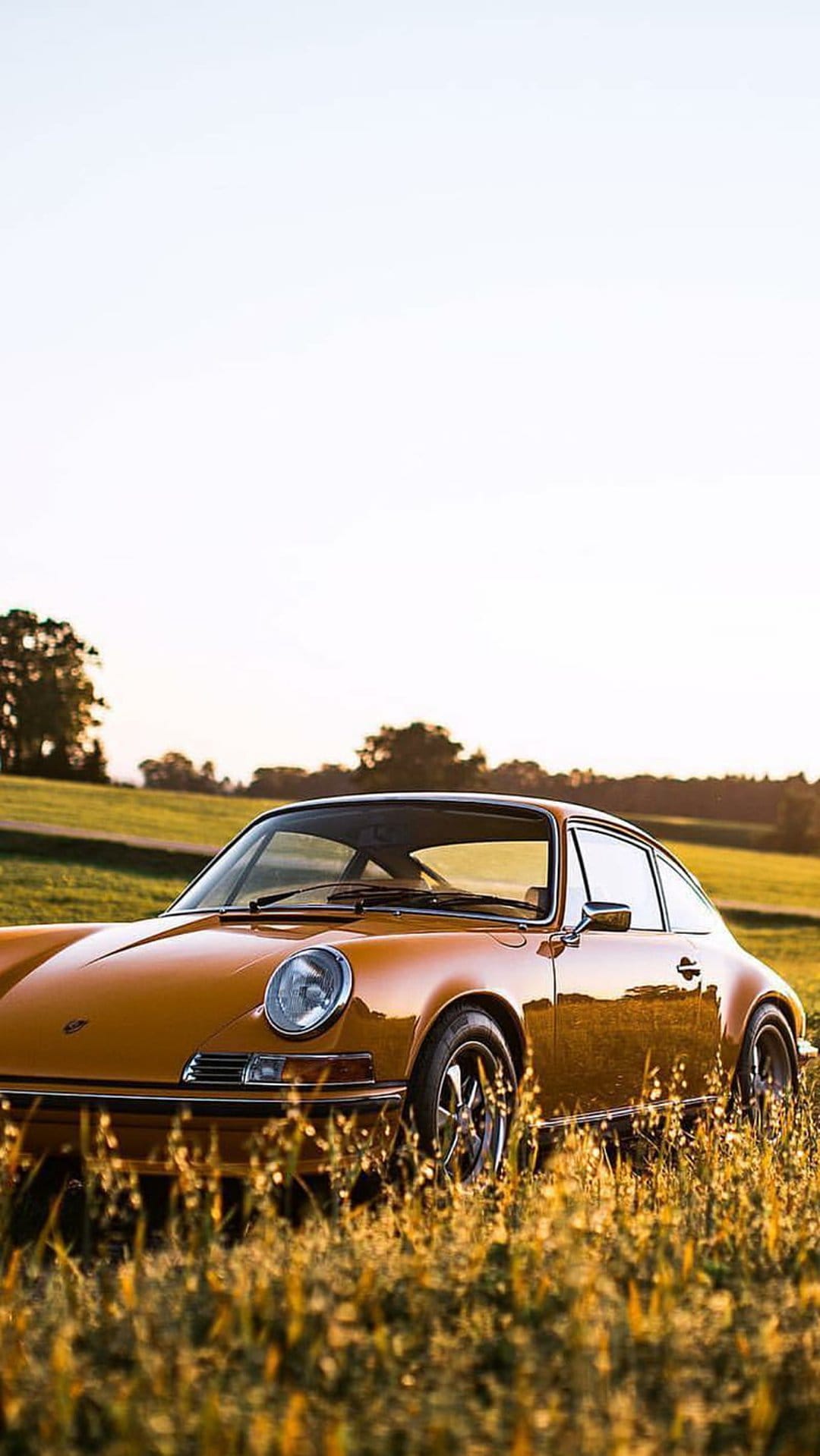 Vintage orange Porsche 911 parked in a field of tall dry grass during golden hour with hills in the distance.