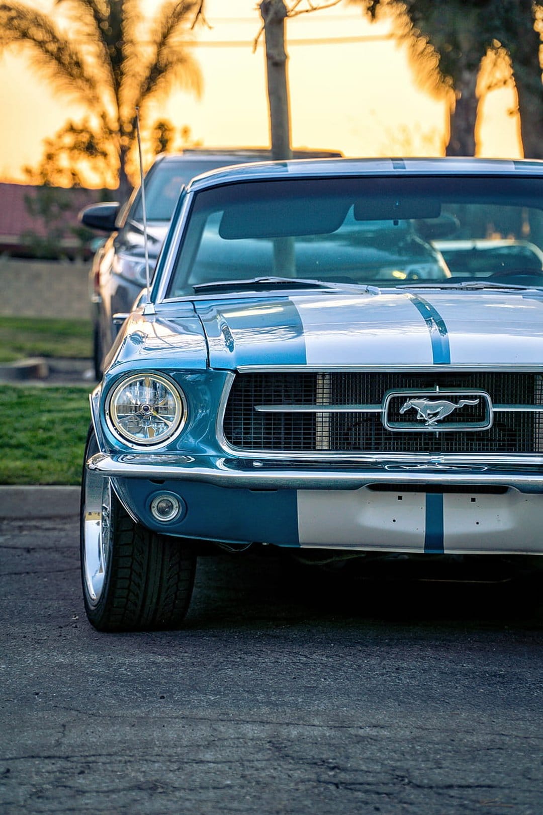 Blue Ford Mustang with white racing stripes parked under palm trees during golden hour sunset lighting.