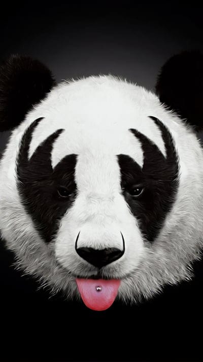Cute animals, rock and roll, playful, punk rock panda, animal art, tongue piercing, adorable, panda, black and white, band makeup, quirky, unique, fun, mammal, creative, cool, digital art, stylized, rebellious, furry friend