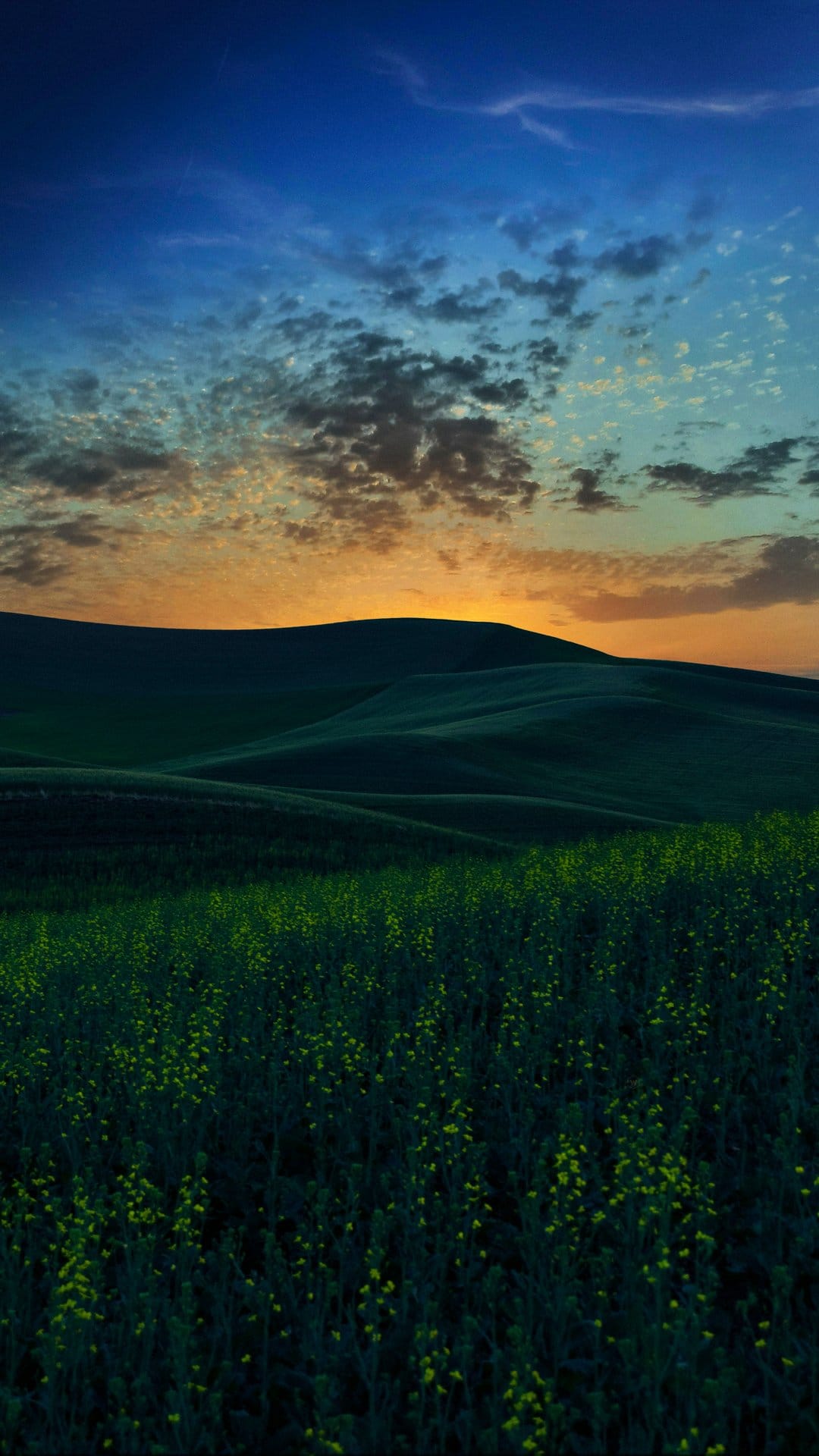 Rolling green hills and yellow wildflowers sit beneath a dramatic blue and orange sunset sky in a rural valley.