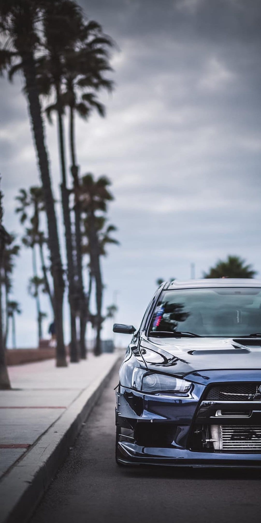 Dark blue sports car with an aggressive bumper on a coastal road lined with tall palm trees under gray clouds.