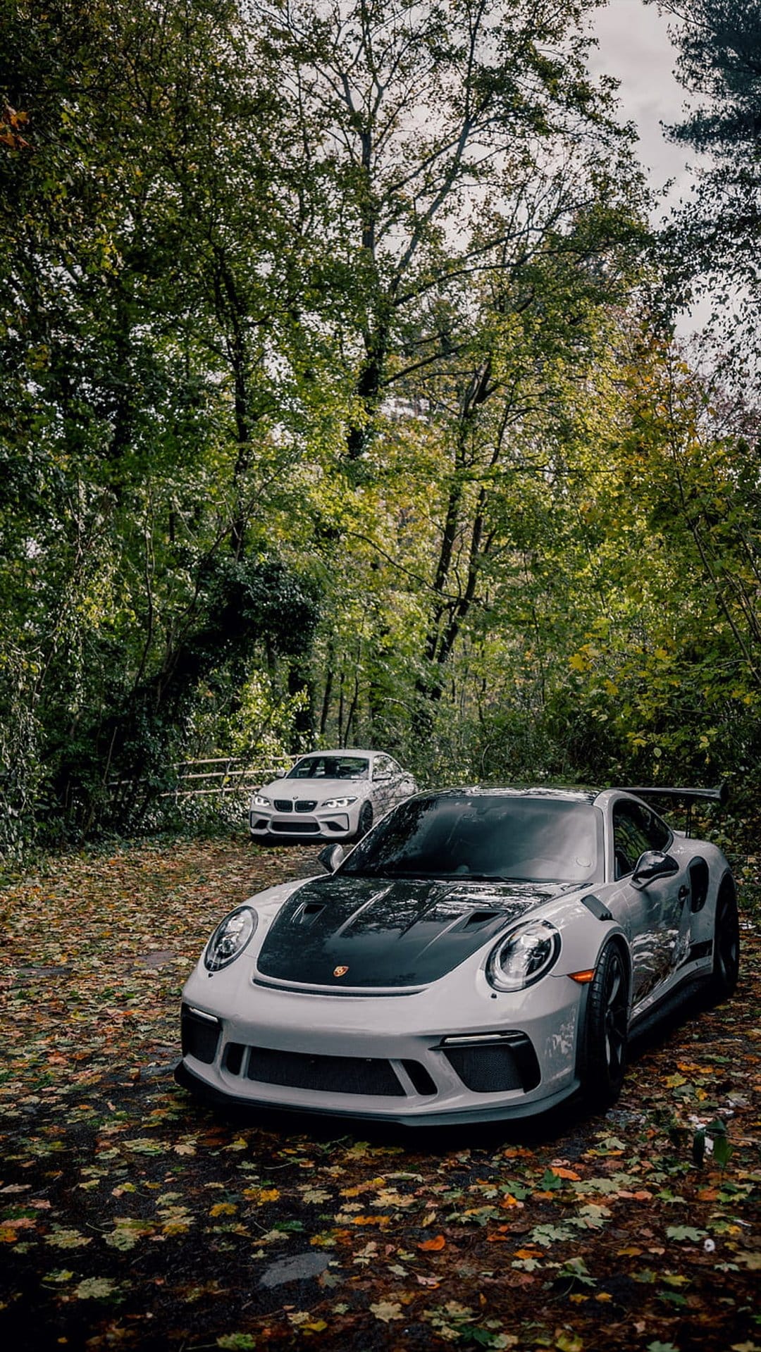 Silver Porsche 911 GT3 RS and white BMW M2 parked on a gold leaf-covered forest floor during autumn.