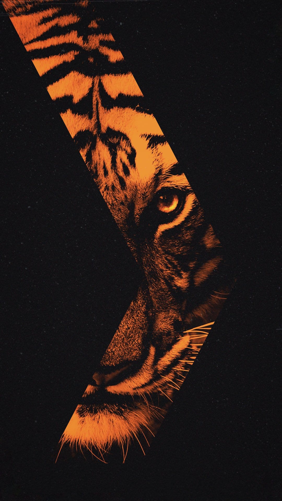 Tiger face with a piercing eye and orange stripes set within a geometric shape on a black textured background.