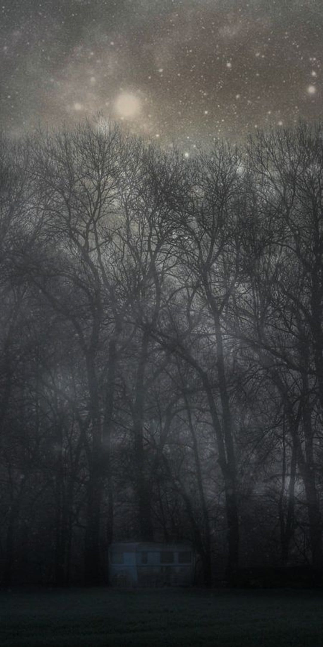 Abandoned wooden wagon sits among twisted trees under a starry night sky with heavy fog rolling across the ground.