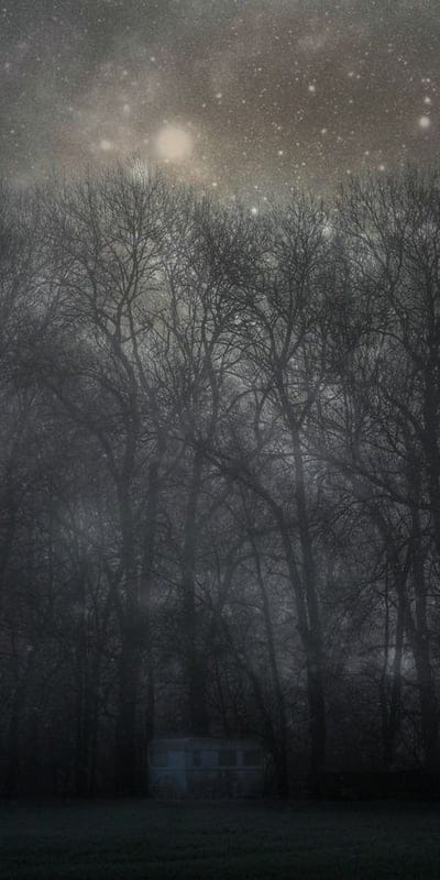 Eerie, mystical, forest, fog, dark, night, stars, mysterious, nature, outdoor, creepy, gloomy, atmosphere, spooky, deserted, woodland, haunting, landscape, silhouette, mist
