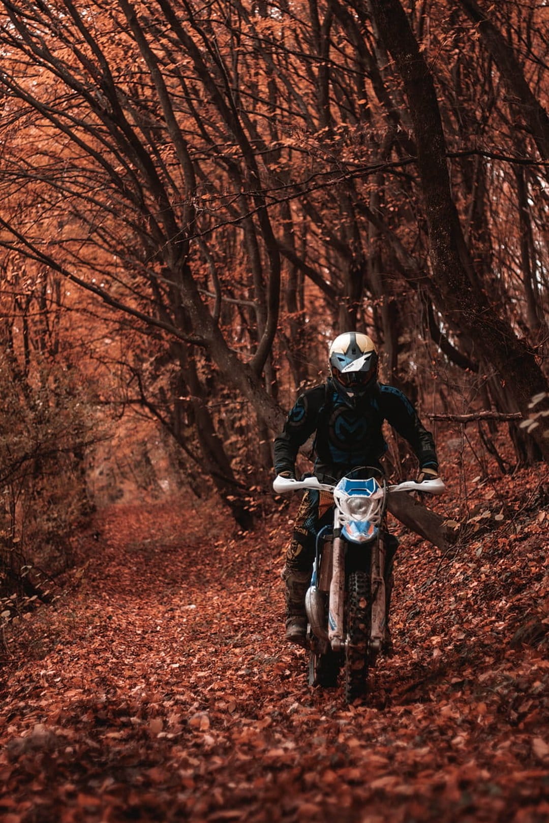 Motorcyclist in full gear riding a dirt bike through a dense woodland trail covered in orange autumn leaves.