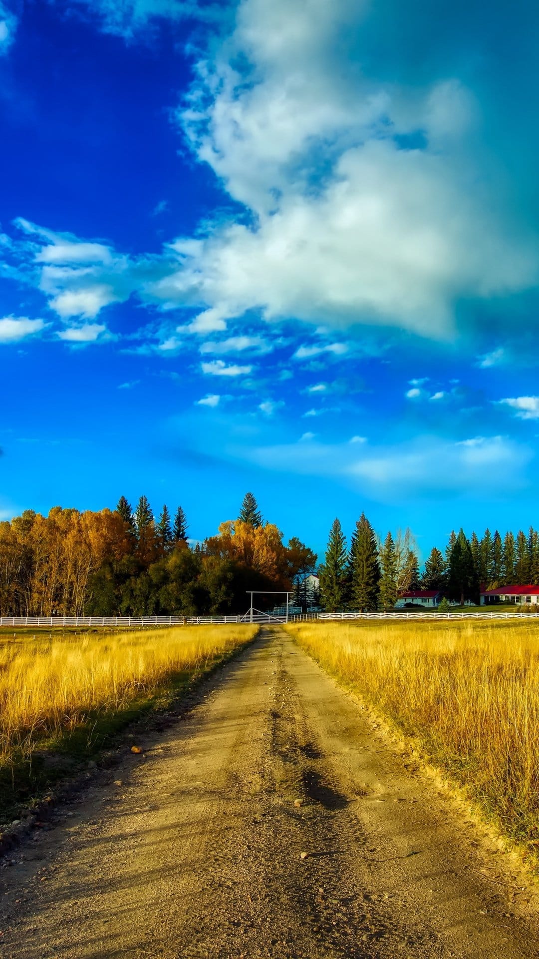 Winding dirt road leads through golden fields toward a distant ranch house under a bright blue autumn sky.