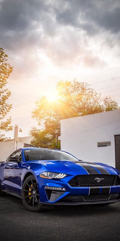 Mustang MR11, car, carros, ford, sport, mobile wallpaper, android wallpaper, iPhone wallpaper, phone wallpaper