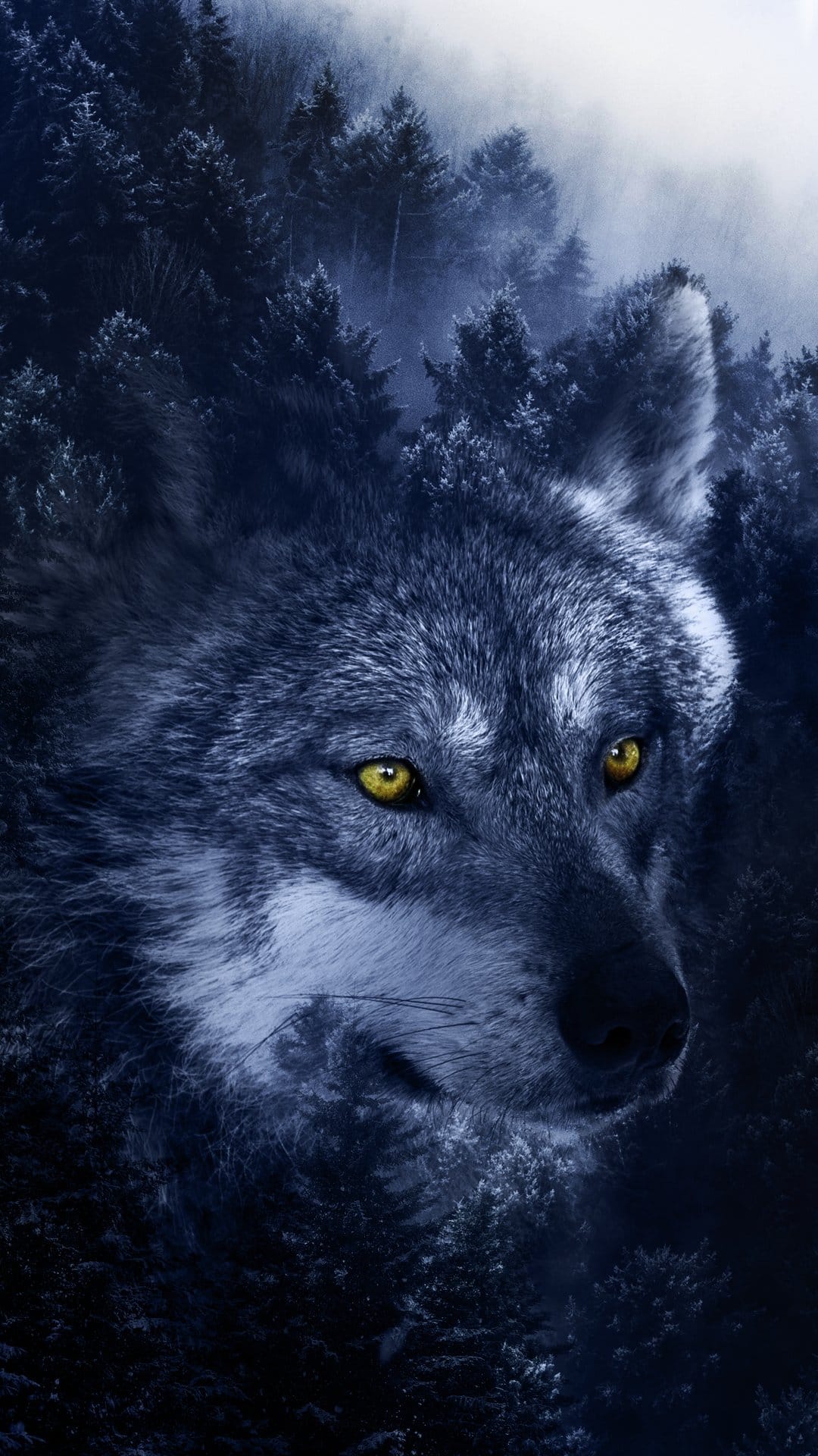 Wolf's face with bright yellow eyes emerges from a dense blue misty forest during a dark night in the wild.