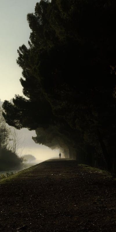Fog, mist, morning, solitary, path, trees, silhouette, mysterious, tranquil, ethereal, walk, peaceful, outdoors, nature, landscape, atmospheric, soft light, serene, contemplation, alone.