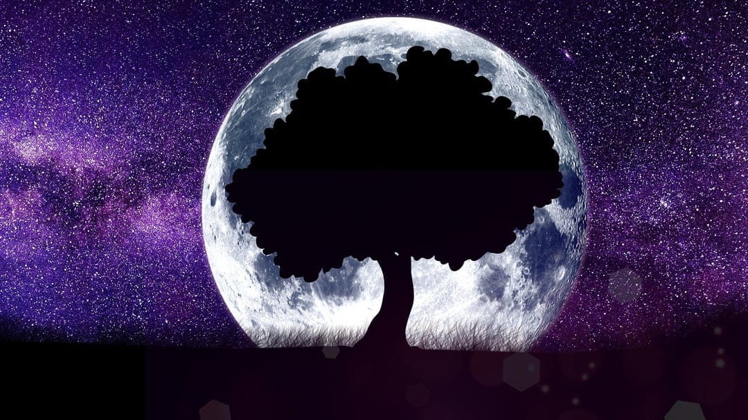 Lone tree silhouette centered against a massive glowing moon and a purple galaxy filled with glittering stars.