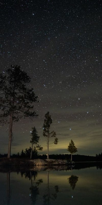 Night, Stars, Lake, Reflection, Trees, Silhouette, Tranquil, Dark Sky, Water, Peaceful, Serene, Outdoors, Wilderness, Calm, Cosmic, Landscape, Astrophotography, Stillness, Horizon, Atmospheric