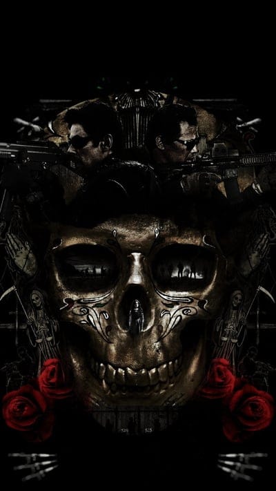 sicario 2,skull,punisher,pirates,logo,flag,mexican,guns