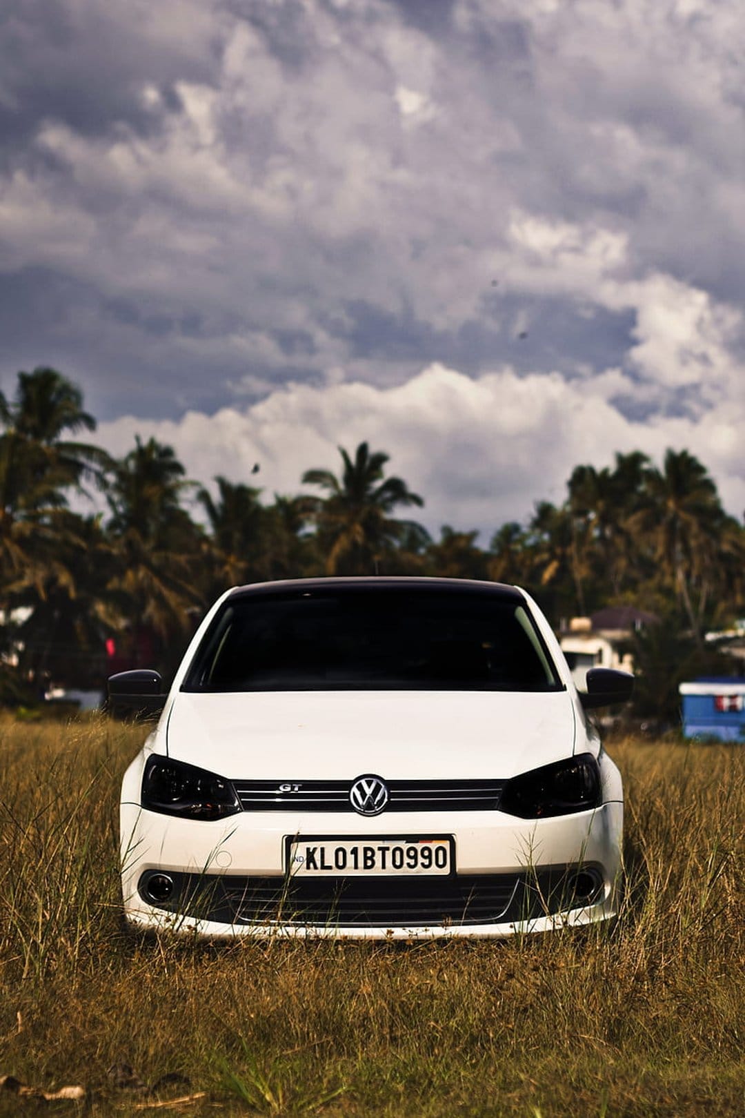 White Volkswagen Polo GTI with a black roof parked on dry grass near palm trees under a dramatic cloudy sky.