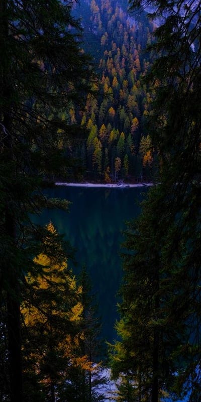 Autumn colors, Lake, Forest, Nature's frame, Vibrant, Tranquil, Mountain, Reflection, Wilderness, Seasonal beauty, Fall foliage, Outdoor, Scenic, Dark trees, Greenery, Peaceful, Landscape, Untouched, Natural beauty, Serene