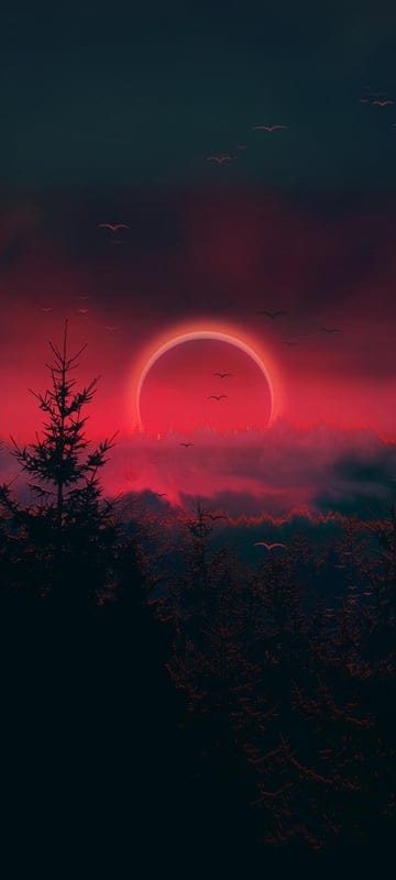 aesthetic