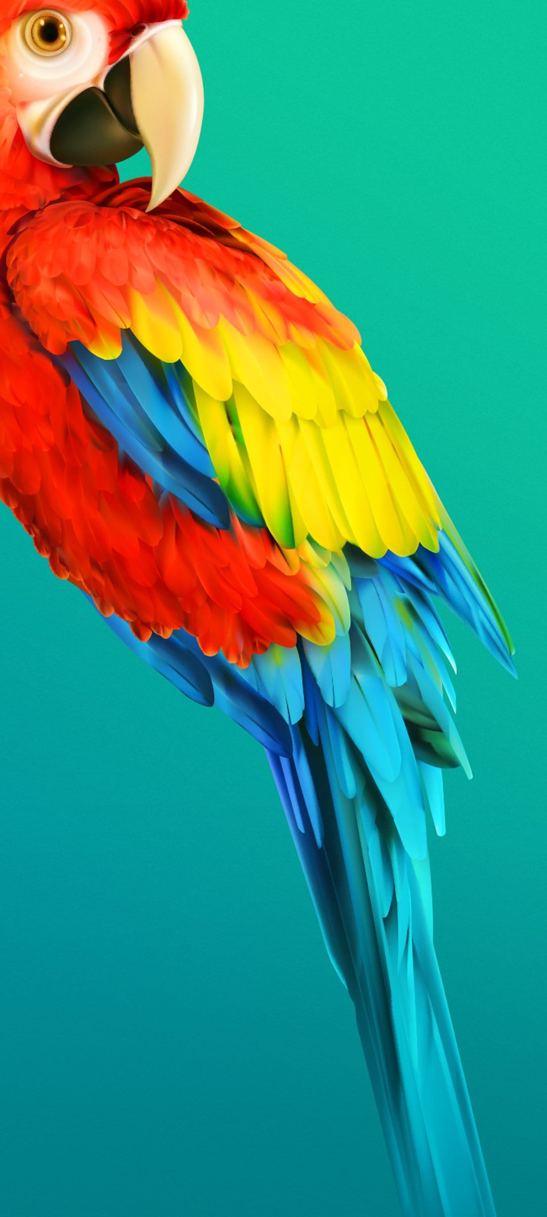 Red, yellow, and blue parrot feathers overlap in a sharp macro view against a soft turquoise-blue background.