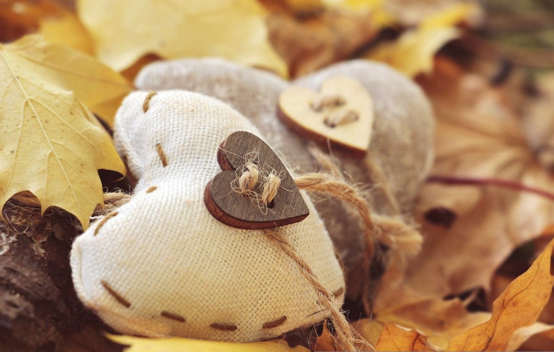 White and grey fabric hearts with wooden buttons rest on a bed of orange and brown autumn leaves in close-up.