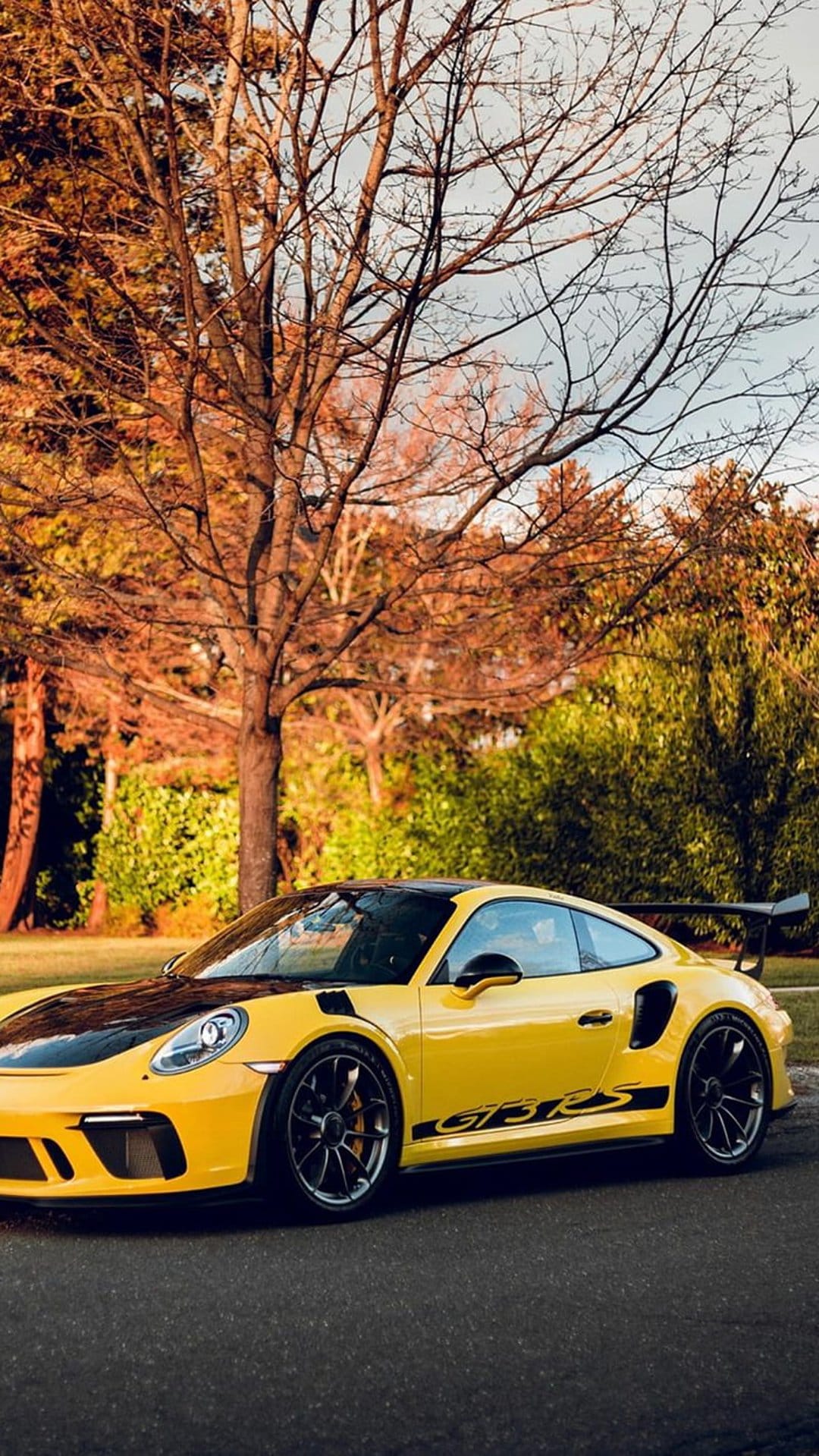 Yellow Porsche 911 GT3 RS with a black hood parked on a road lined with orange autumn trees under a blue sky.