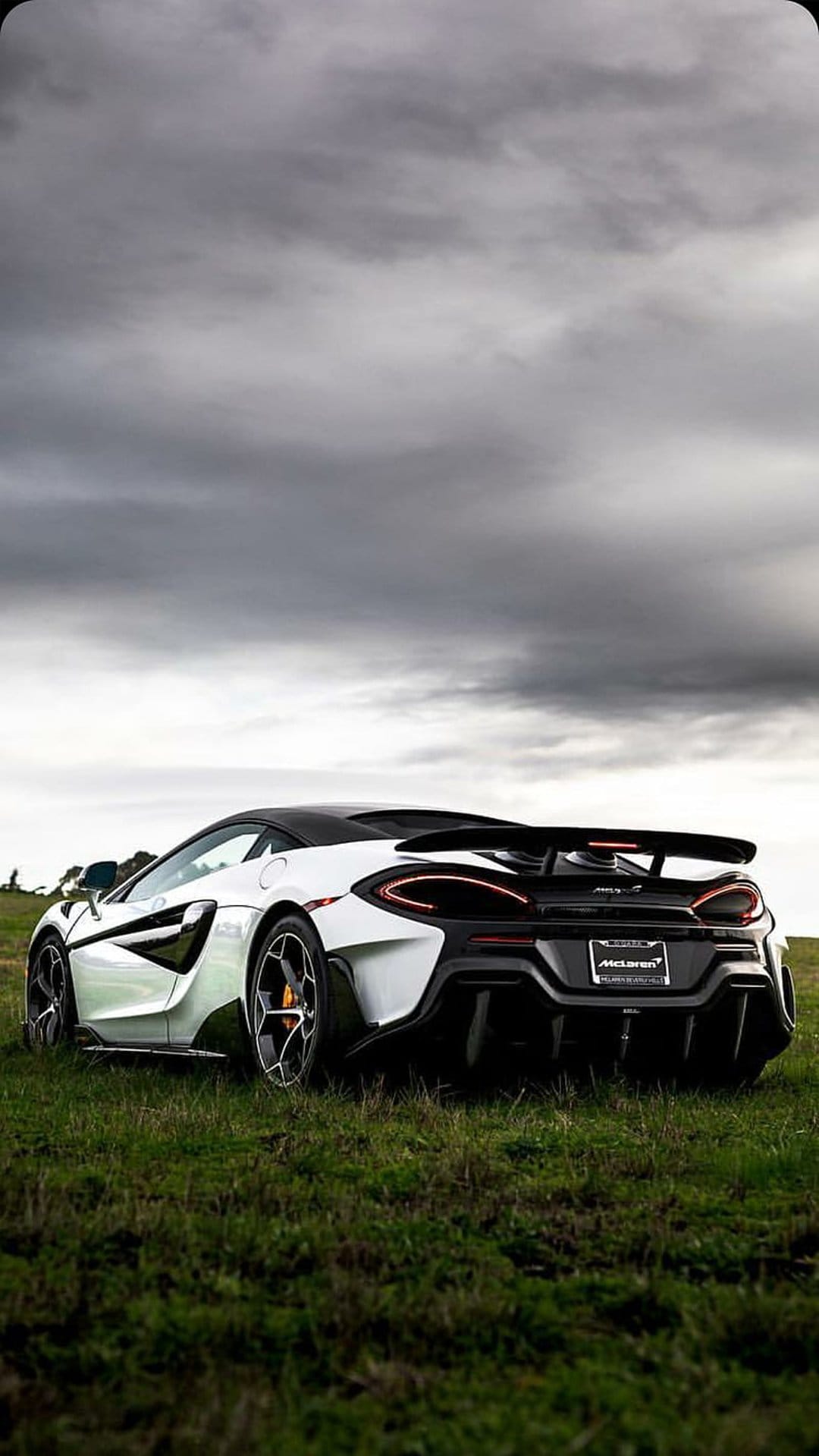 White McLaren sports car parked on green grass under a dramatic overcast sky, showcasing its rear profile.