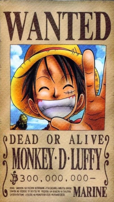 Wanted, one, piece, poster, cartoon, words