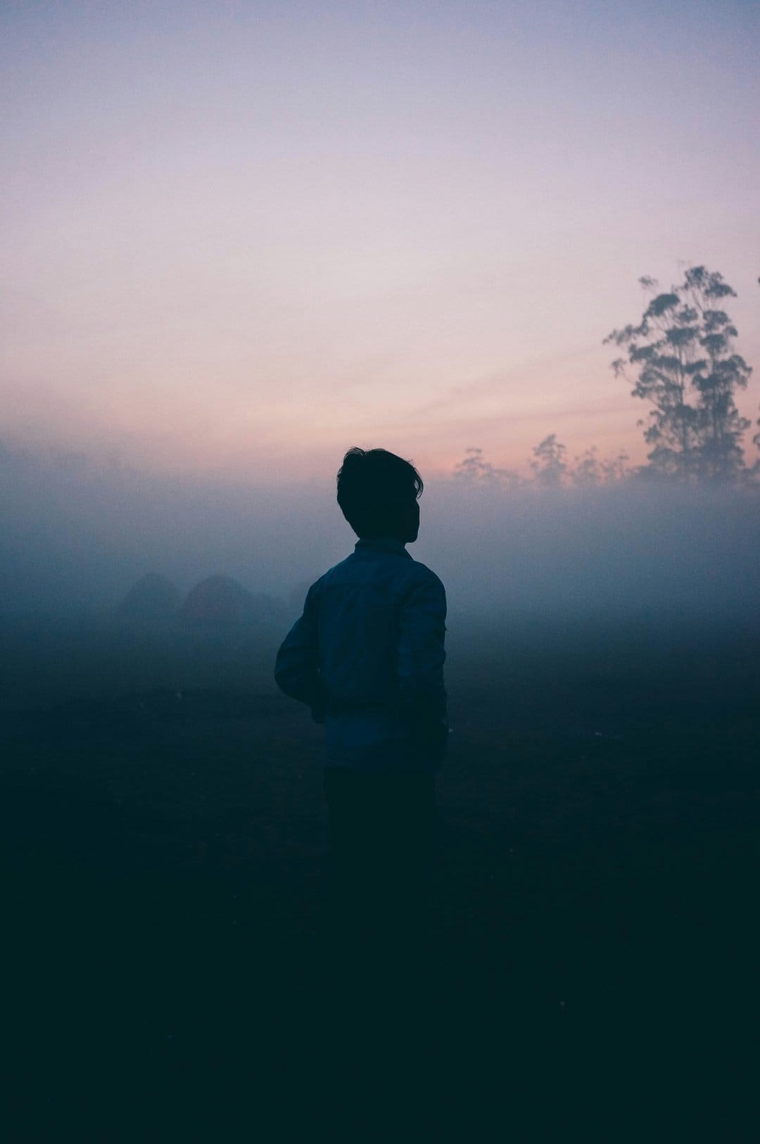Solitary person silhouette looking at a lavender and pink misty sunrise with hazy trees in the distance.