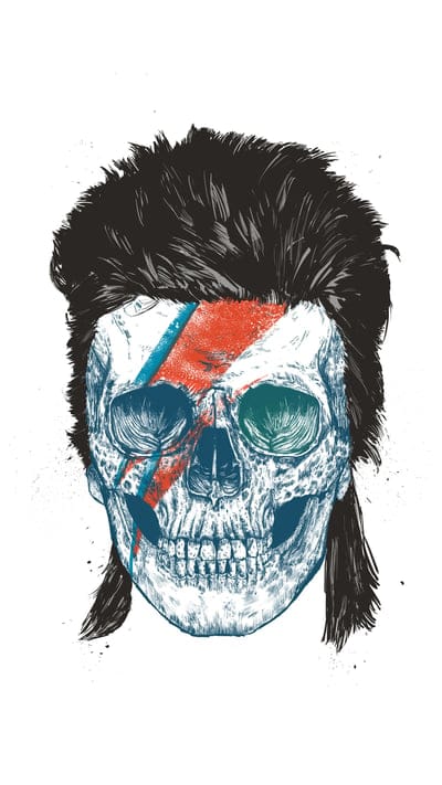 Bowie's skull,Balazs,Bowie,David Bowie,Ziggy,drawing,humor,music,pop culture