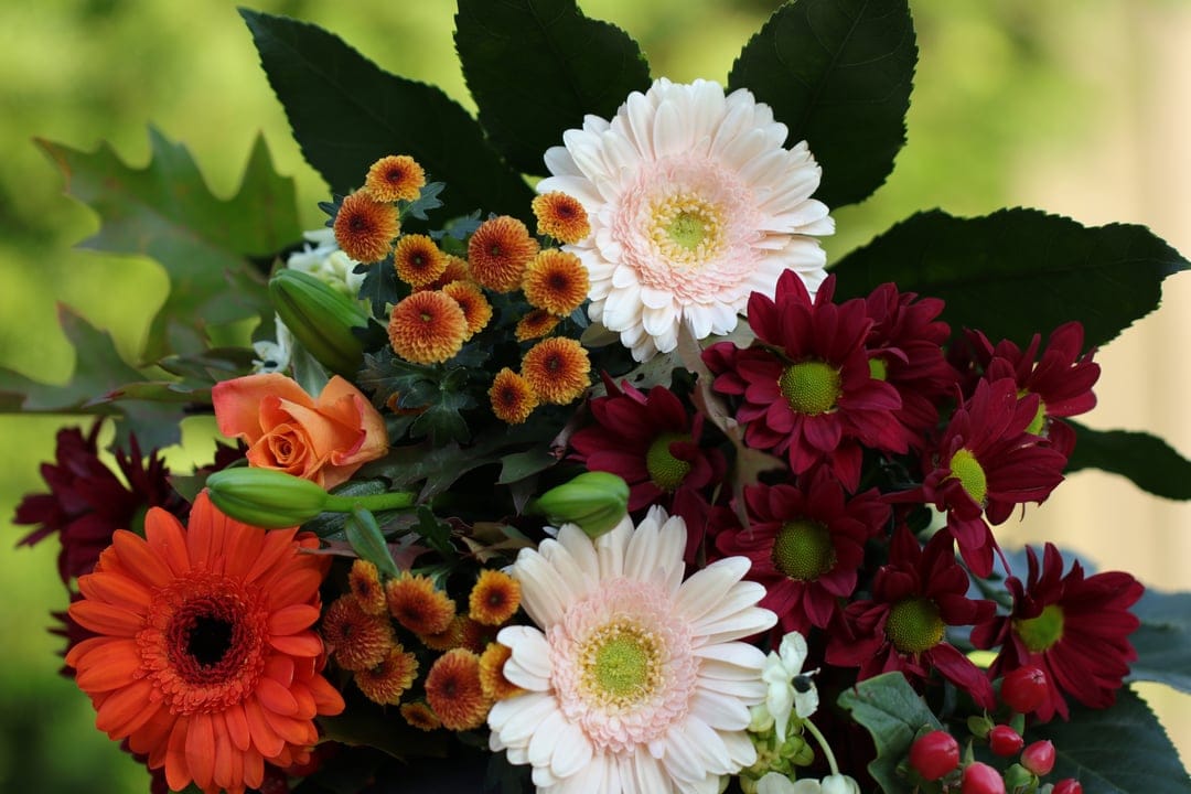 Orange gerbera daisies and red chrysanthemums cluster in a vivid autumn bouquet with a soft green background.