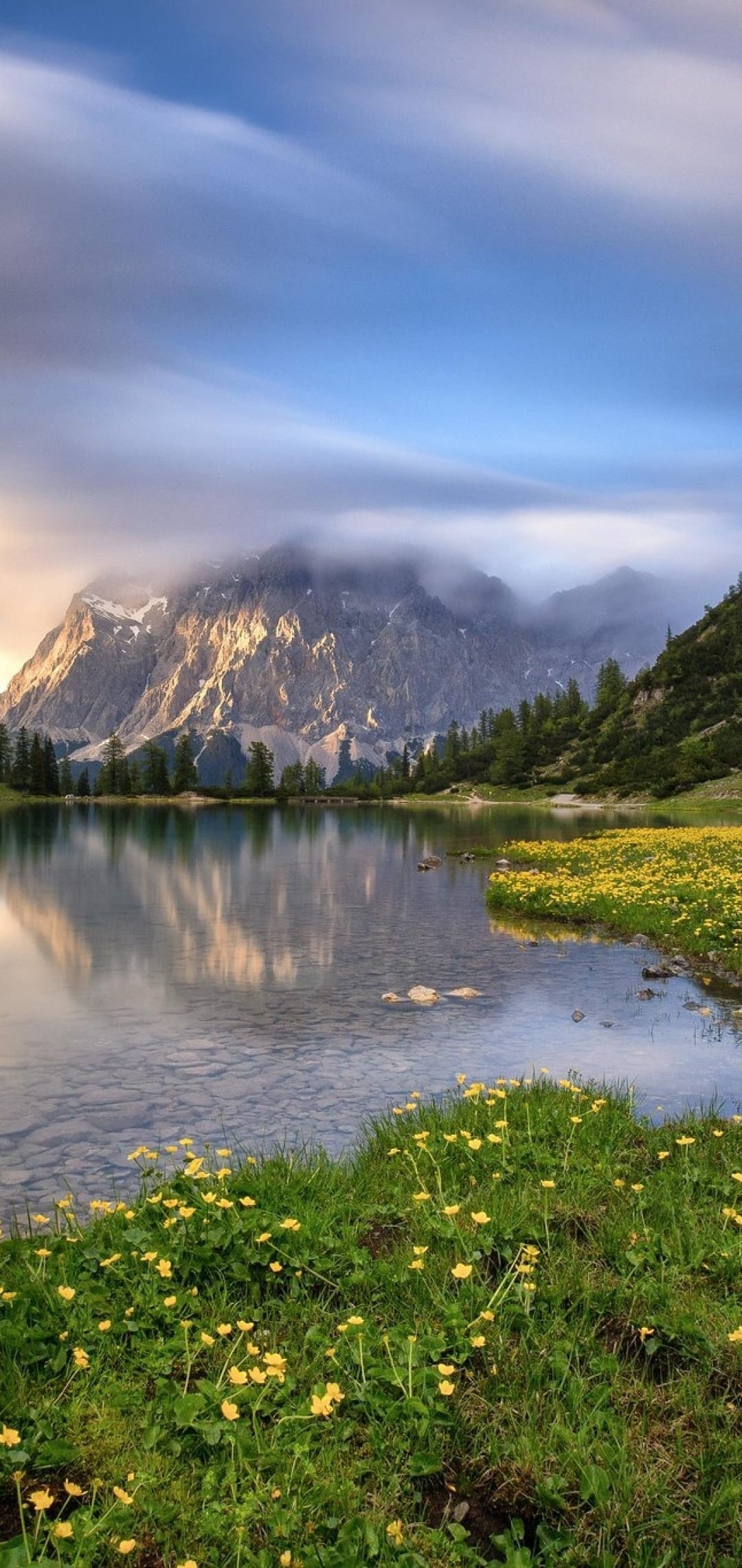 Yellow wildflowers and lush grass frame a reflecting alpine lake with misty mountain peaks in the distance.