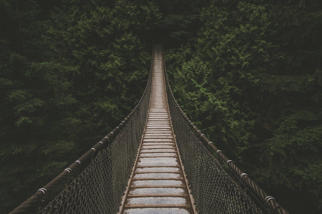 Wooden suspension bridge with metal railings extends into a dense green forest canopy under soft lighting.
