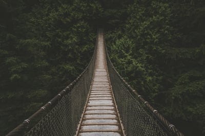 Forest Bridge,Bridge,forest wallpaper,Journey,pathway wallpaper
