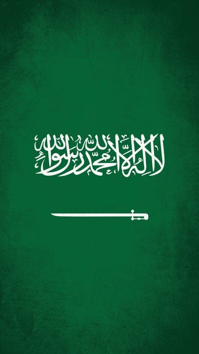 flag,saudi arabia,green,sword