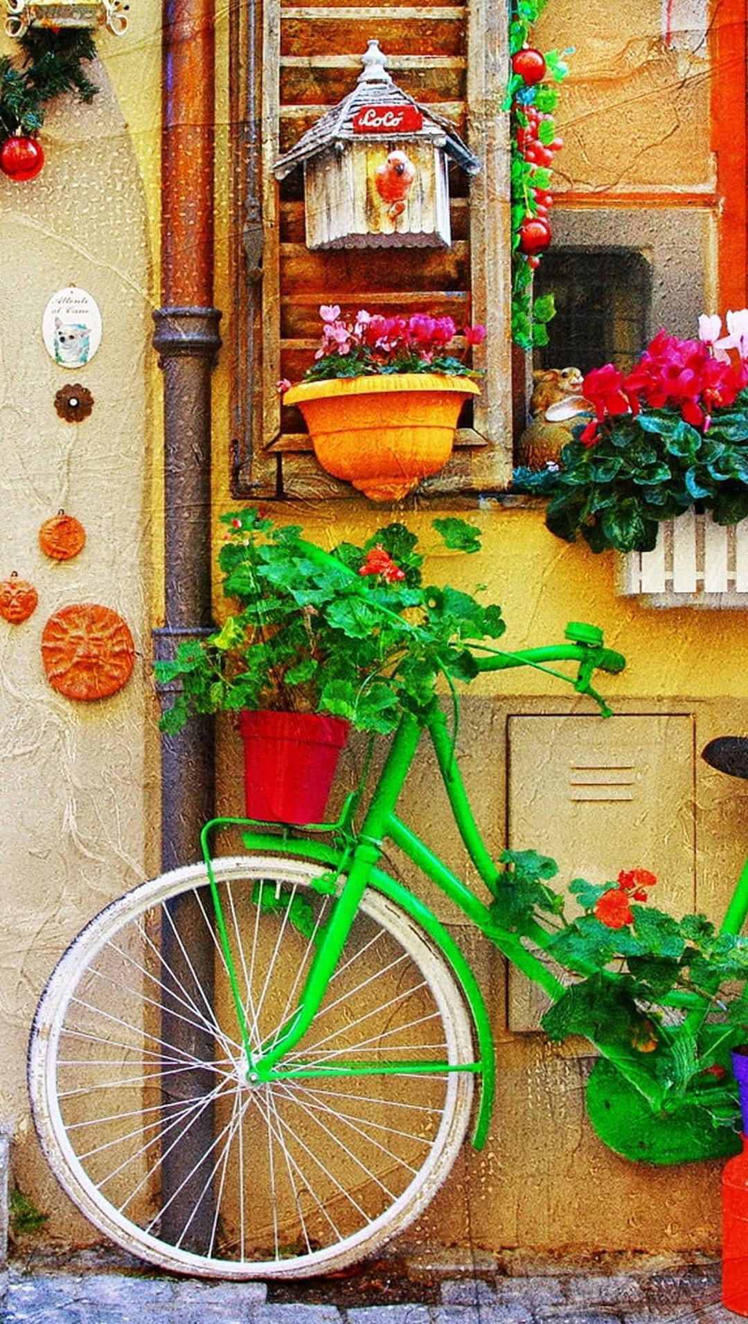 Green bicycle with blooming flower baskets leaning on a textured yellow wall next to a wooden birdhouse.