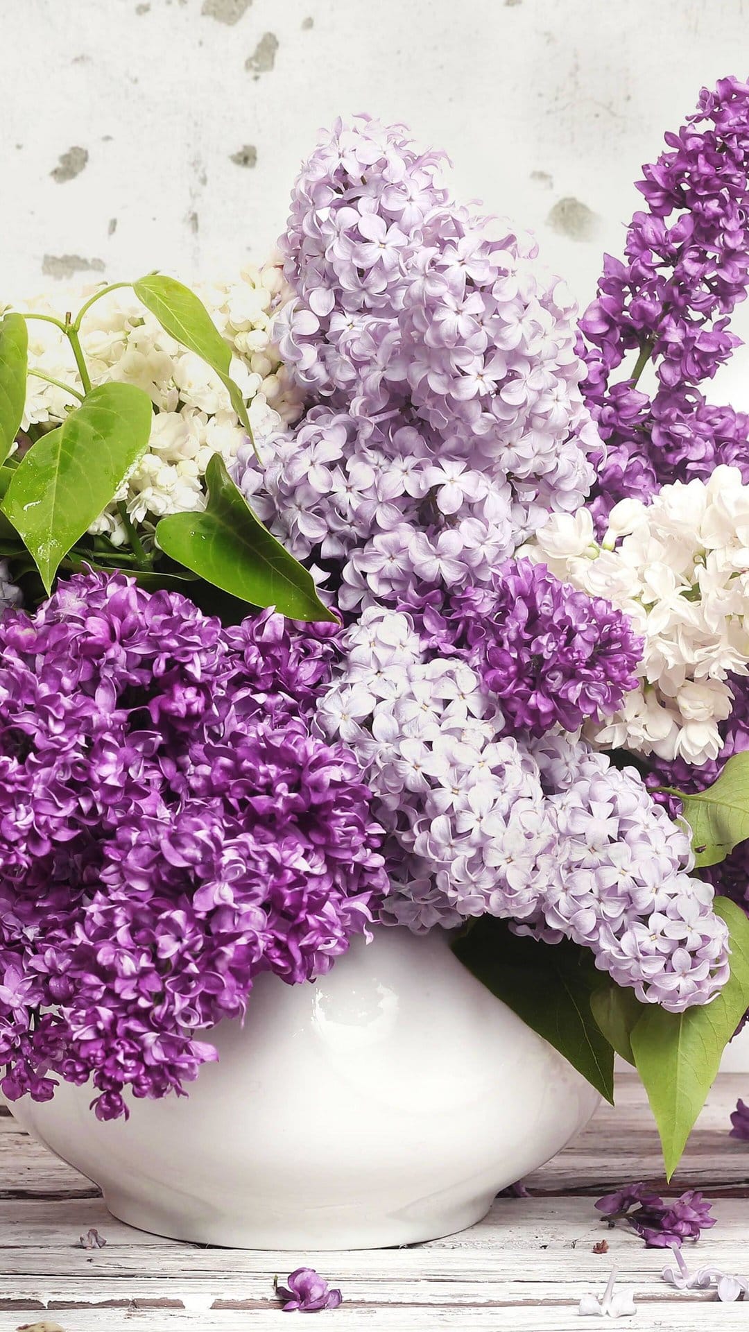 Purple and white lilac blossoms overflow from a white vase against a soft, out-of-focus background.