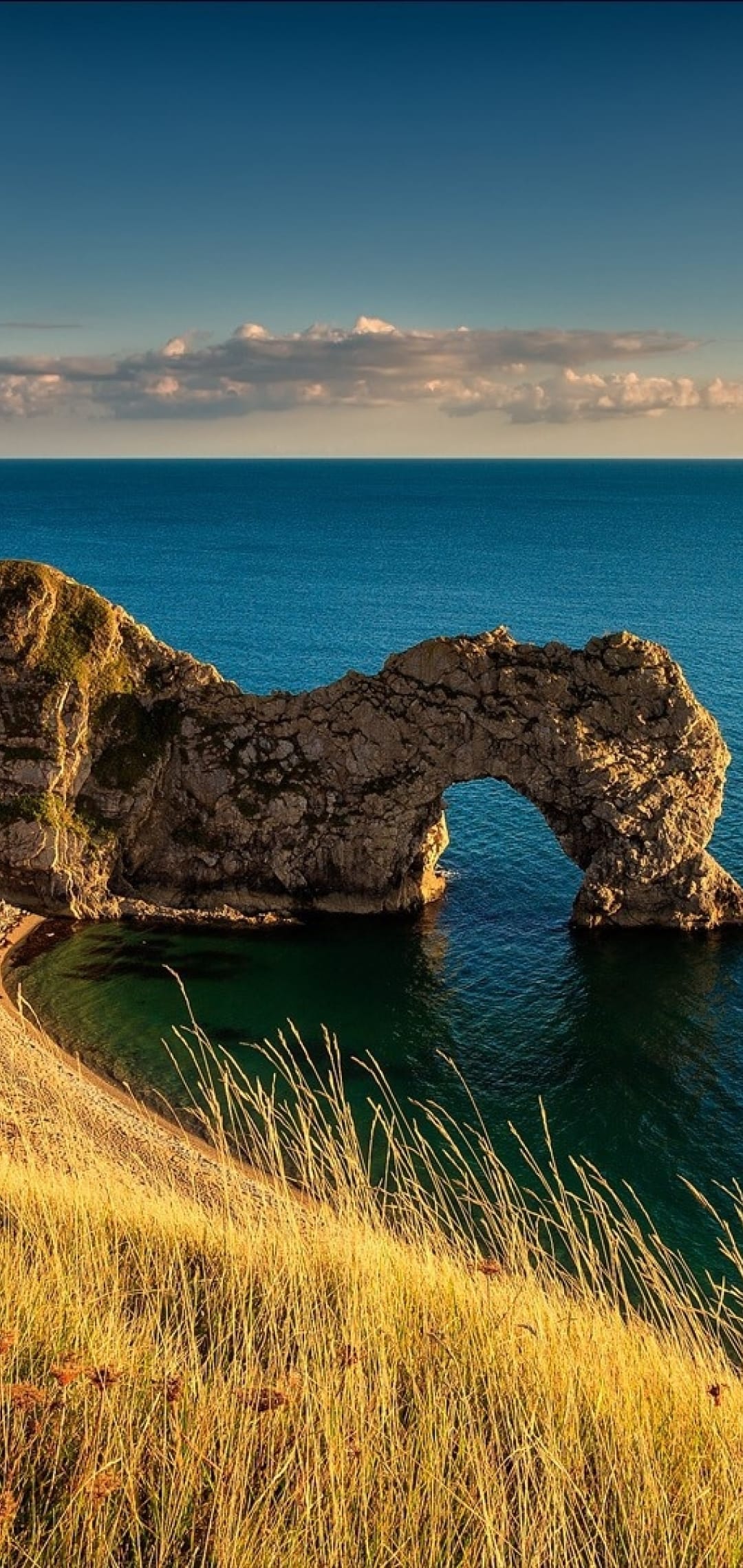 Limestone arch of Durdle Door overlooking a turquoise beach and golden grass under a blue sky with soft clouds.