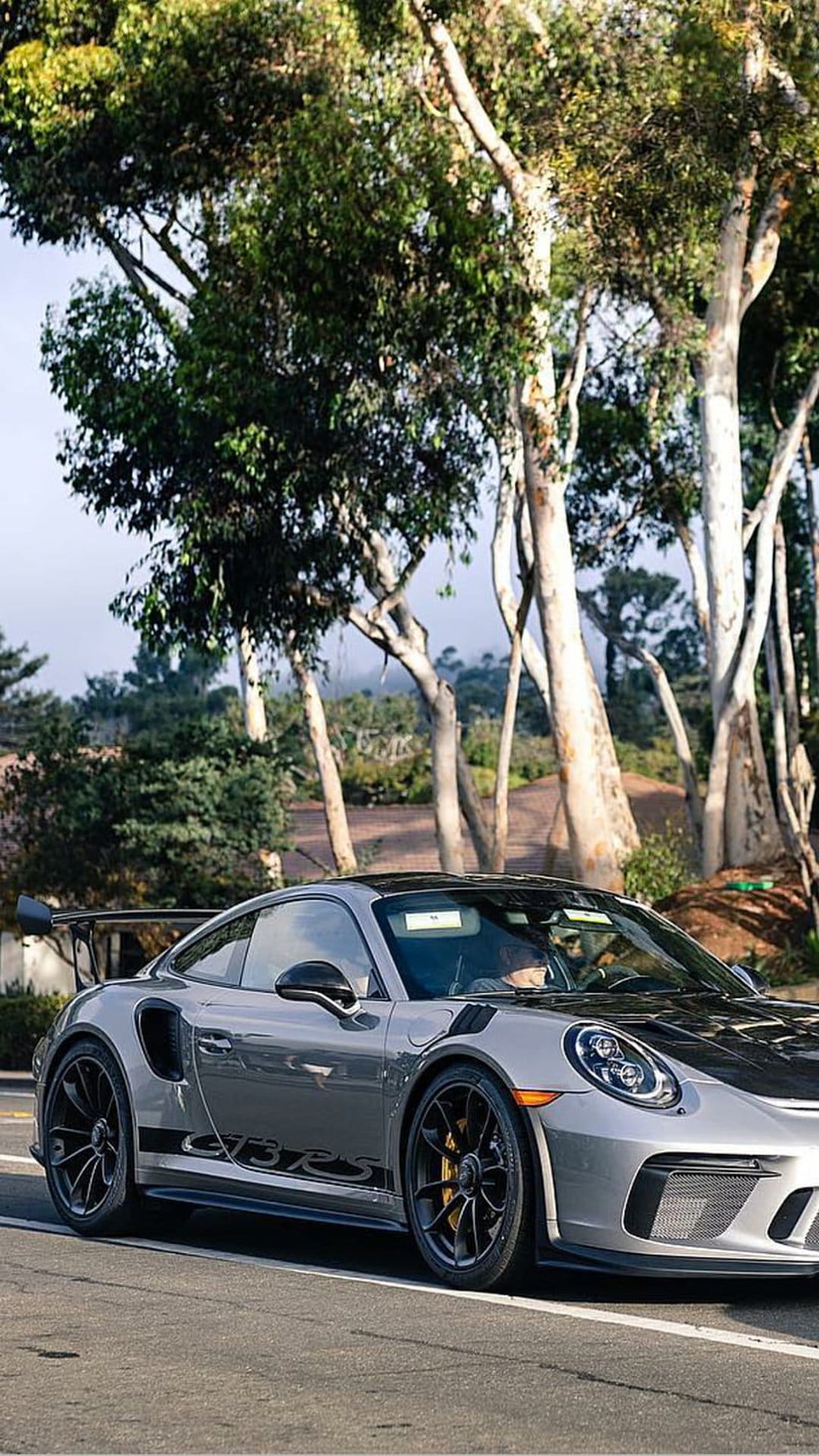 Porsche 911 GT3 RS with a large rear wing parked on a road between white-barked eucalyptus trees in sunlight.