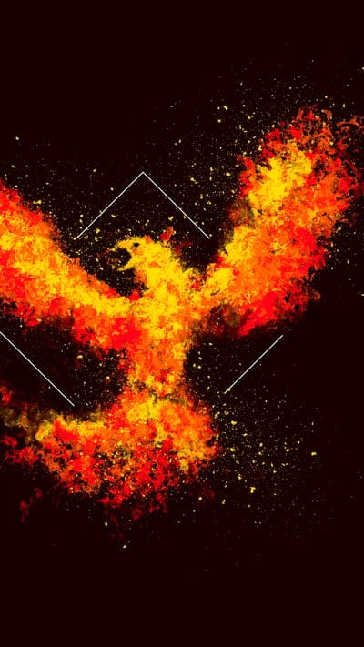 phoenix, bird, fire, art, square