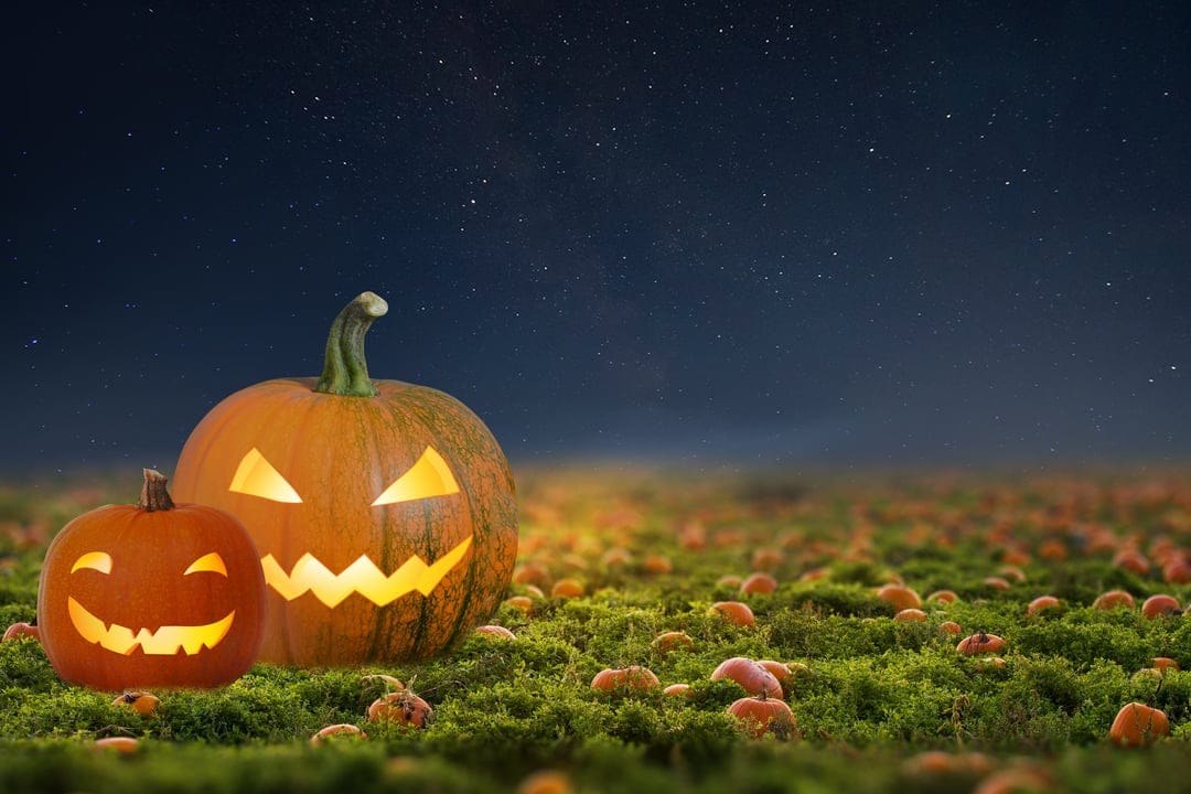 Carved pumpkins glow with orange light on a mossy field under a dark blue sky filled with bright twinkling stars.