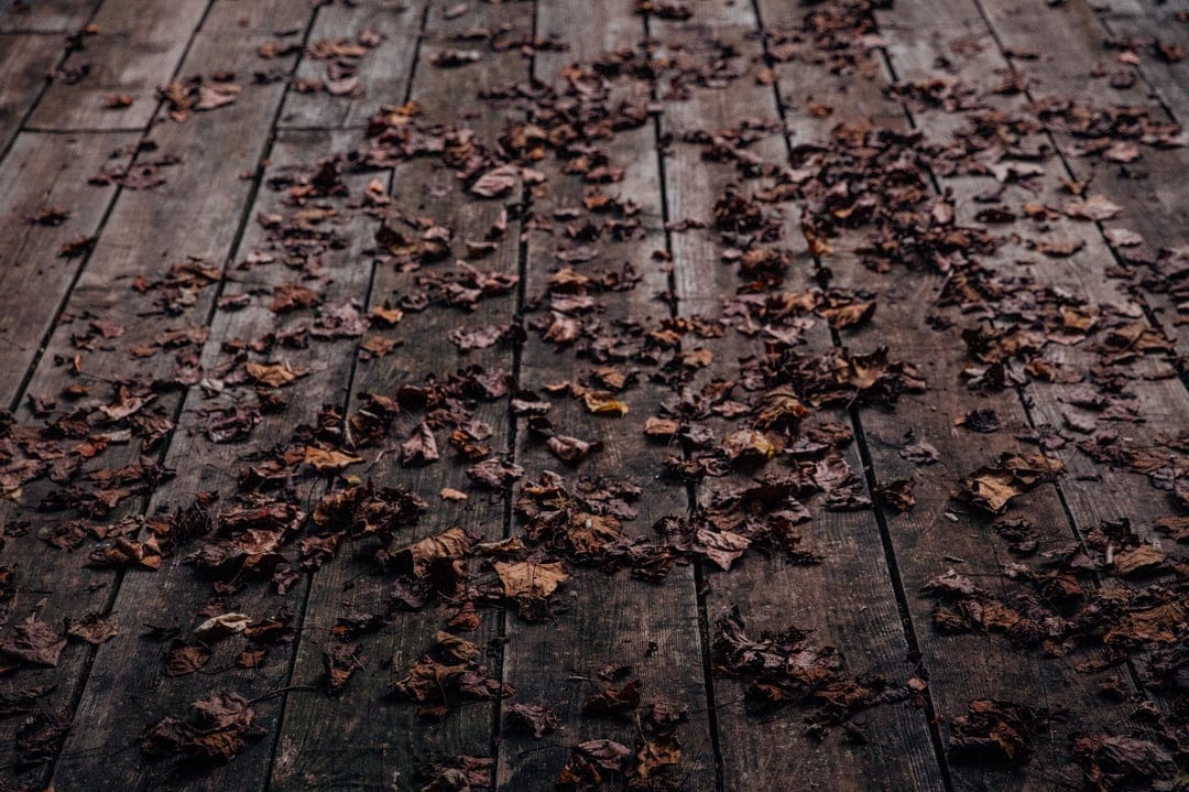 Scattered brown autumn leaves on aged wooden deck planks emphasize rustic textures and seasonal transition.