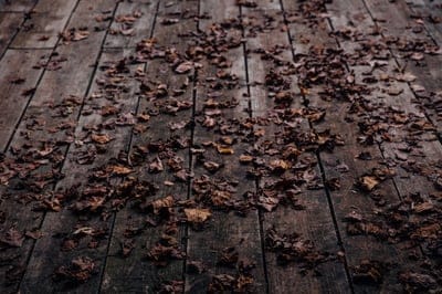 Wood floor wallpaper,Wood,dirt wallpapere,leave covered road,wooden plank