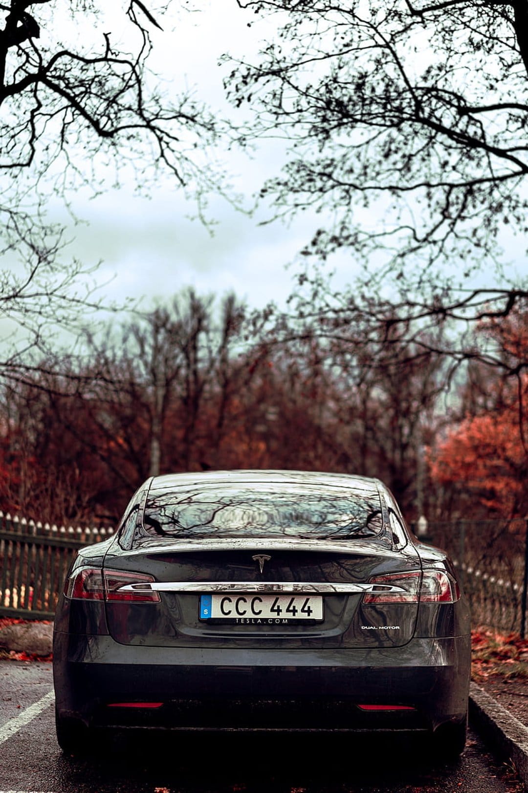 Tesla Model S rear view parked under bare tree branches with autumn foliage under a cloudy overcast sky.